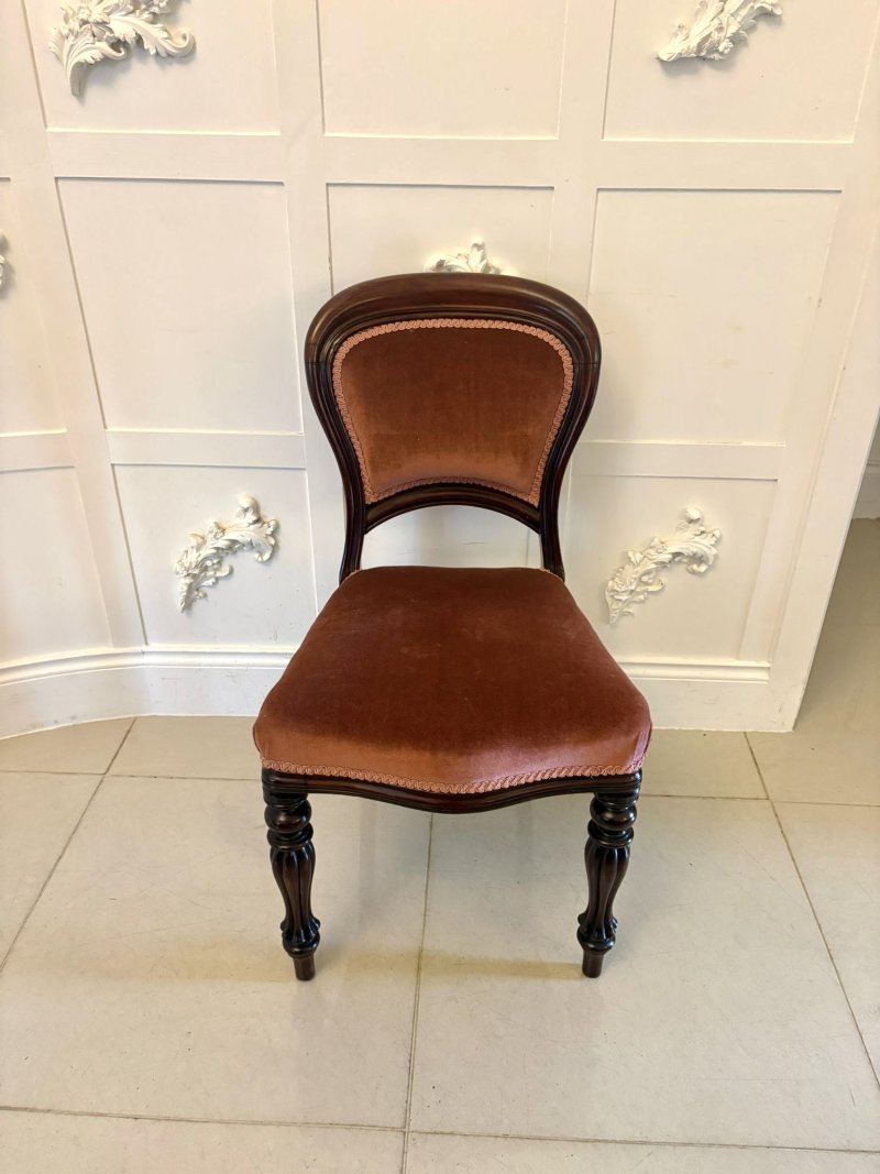 Antique Victorian Set of 6 Mahogany Dining Chairs with Tulip Legs - Image 3